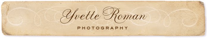 Yvette Roman Photography