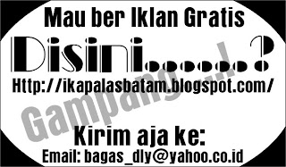 Pasang Iklan di Blog Ini Gratis