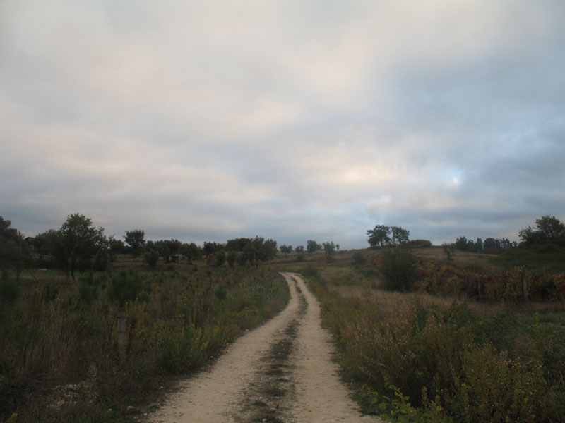 [IMG_4281.jpg]