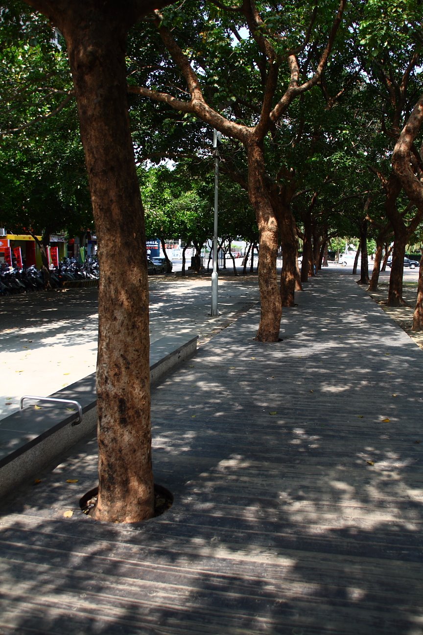 [Copy+of+IMG_3661.JPG]