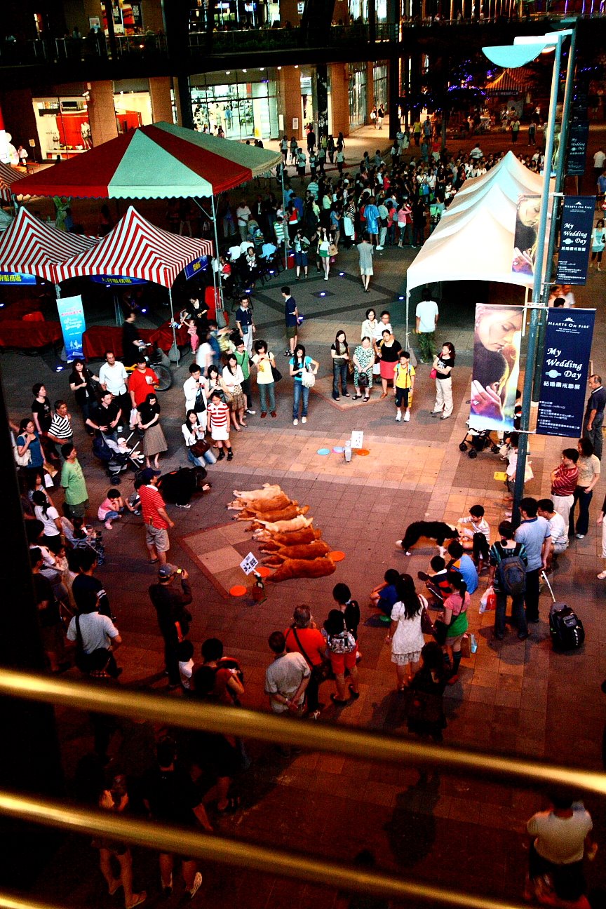 [Copy+of+IMG_3805.JPG]