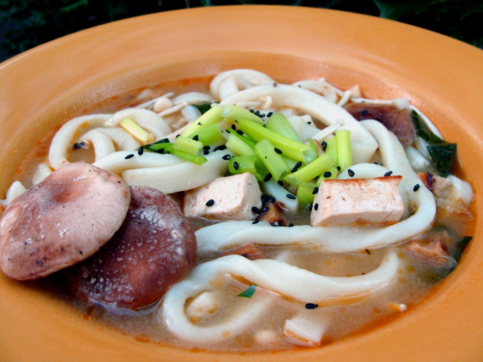The Maine Vegan Japanese Mushroom and Tofu Soup