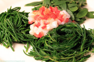 Trio d'halophiles en salade : salicorne, soude maritime et obione