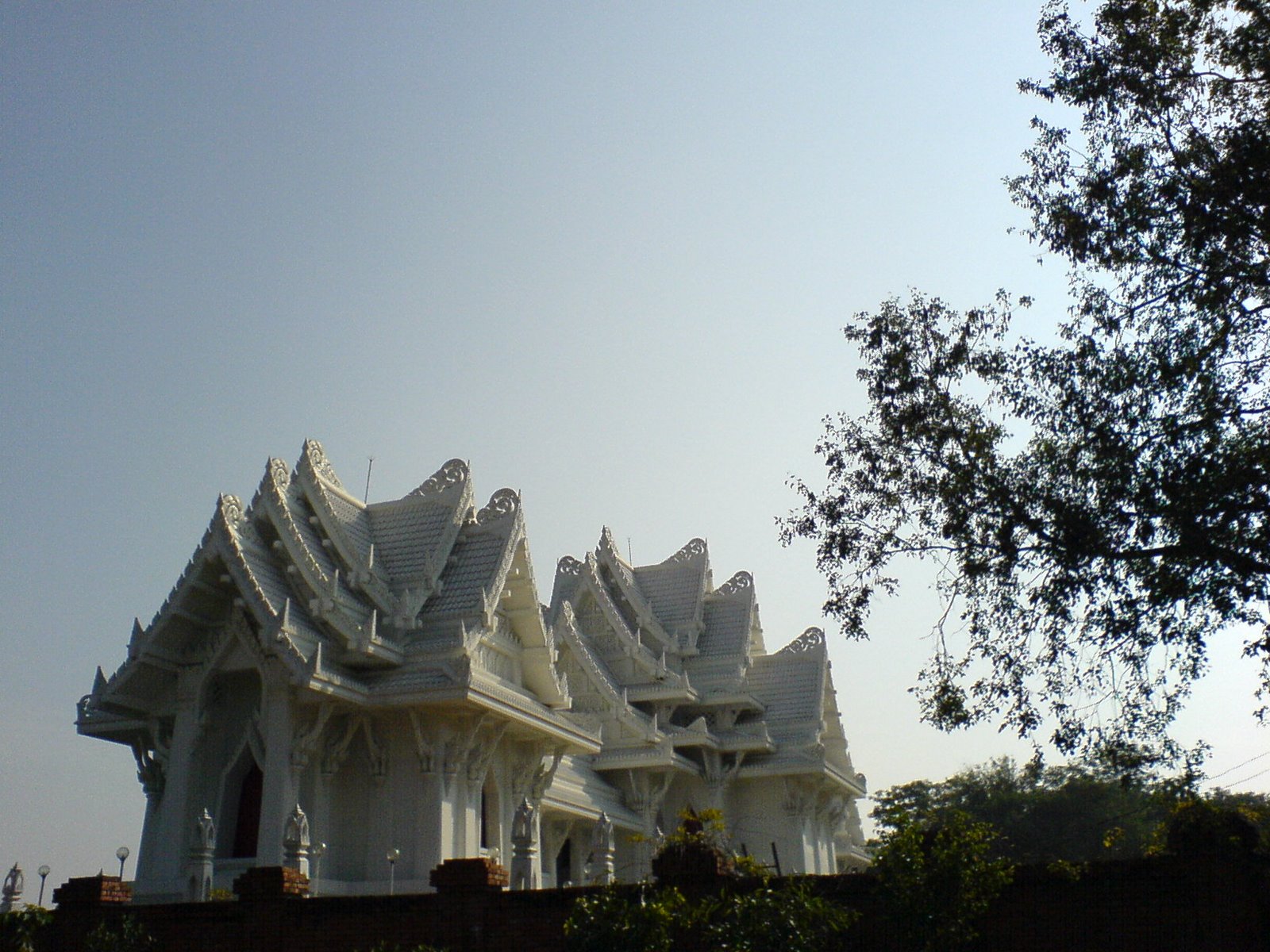 [DSC03096.JPG]