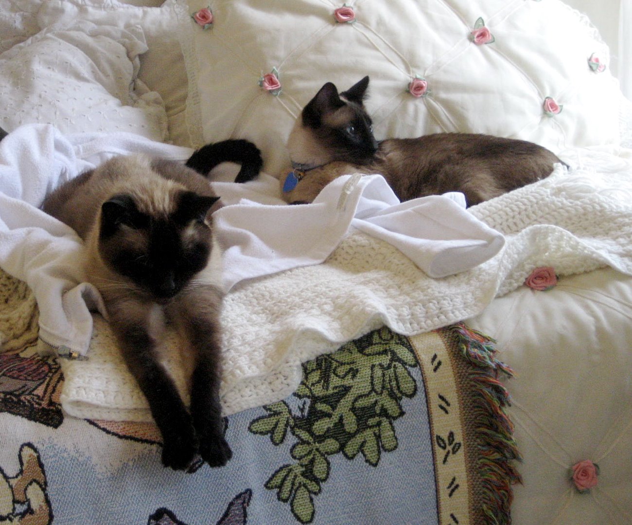 [Springer+and+Chai.JPG]