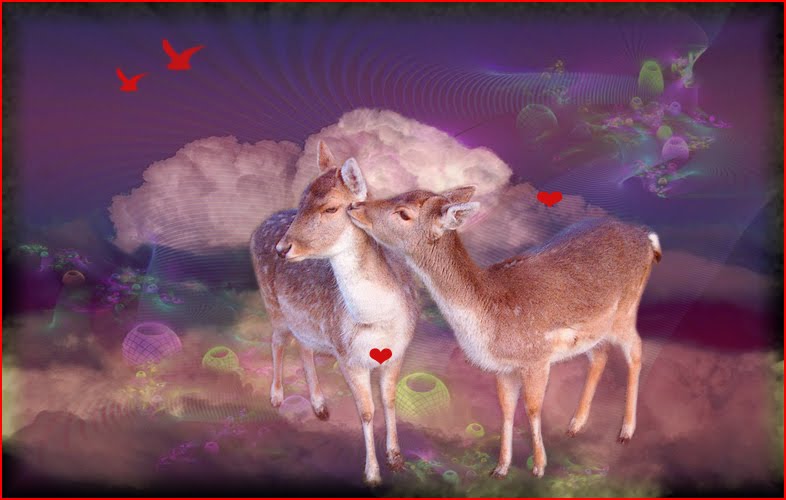 [True_Love_by_Lauraest.jpg]