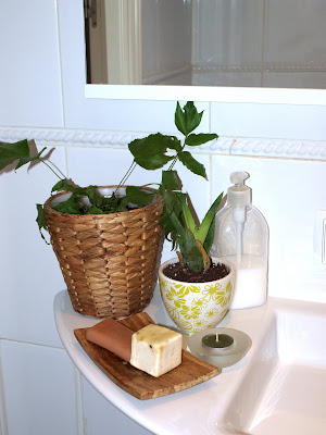 decoración de un baño pequeño, plantas