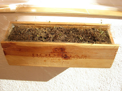 caja de vino, reciclado, macetero, antes y después, hecho a mano