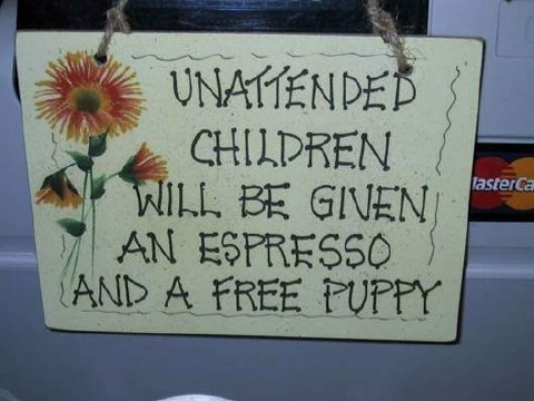 [espresso+and+puppy.jpg]