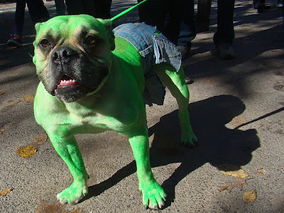 Incredible Halloween Costumes