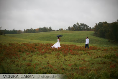 Wedding Gowns Michigan on Wedding  Portrait Photographer Blog  Trash The Dress  Sw Michigan Wine