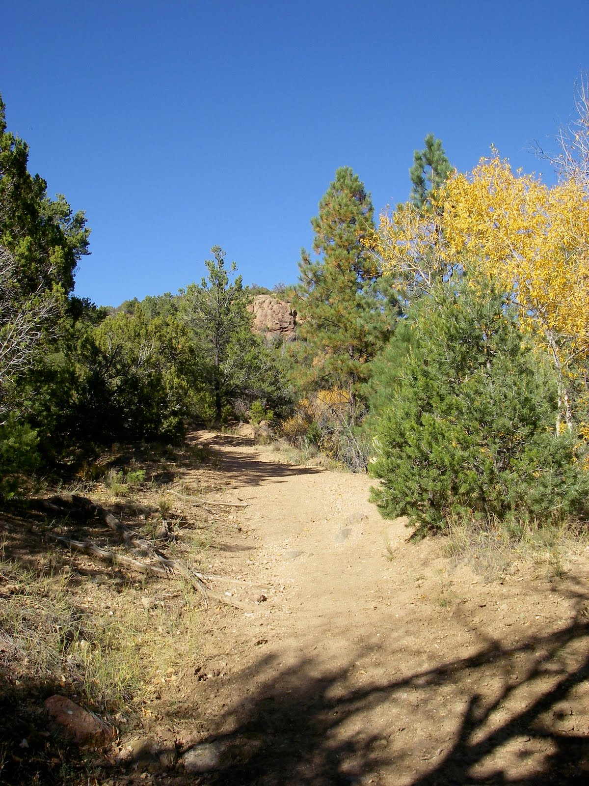 Exploring Around Santa Fe Big Tesuque Creek