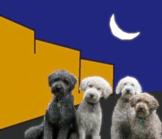 quattro cani di ronda