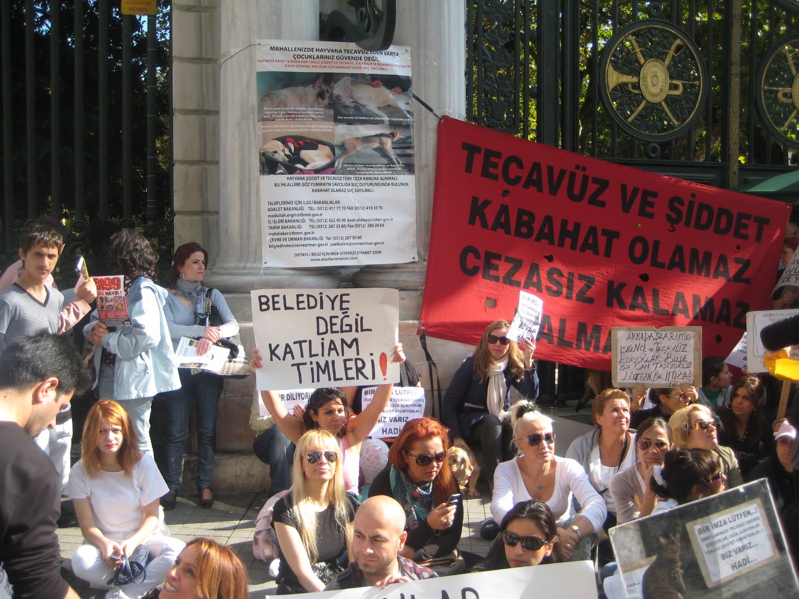 SELİNE DAİR : Ekim 2010