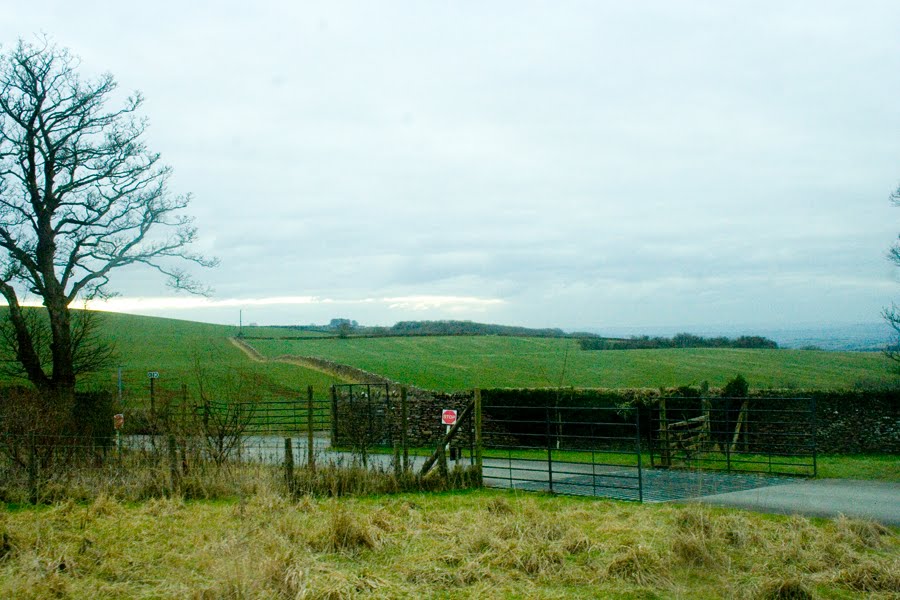 [d_003_anotherfieldwithnodeer.jpg]