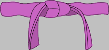 4th Kyu - Purple Belt (full color - no stripe) 四級