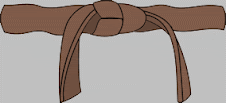 Ikkyu - Brown Belt (full color - no stripe)