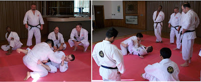 Brazilian Jiu Jitsu seminar - 11/29/09