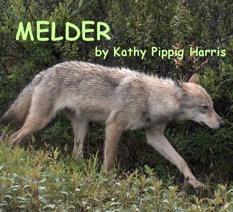 Melder - a novel