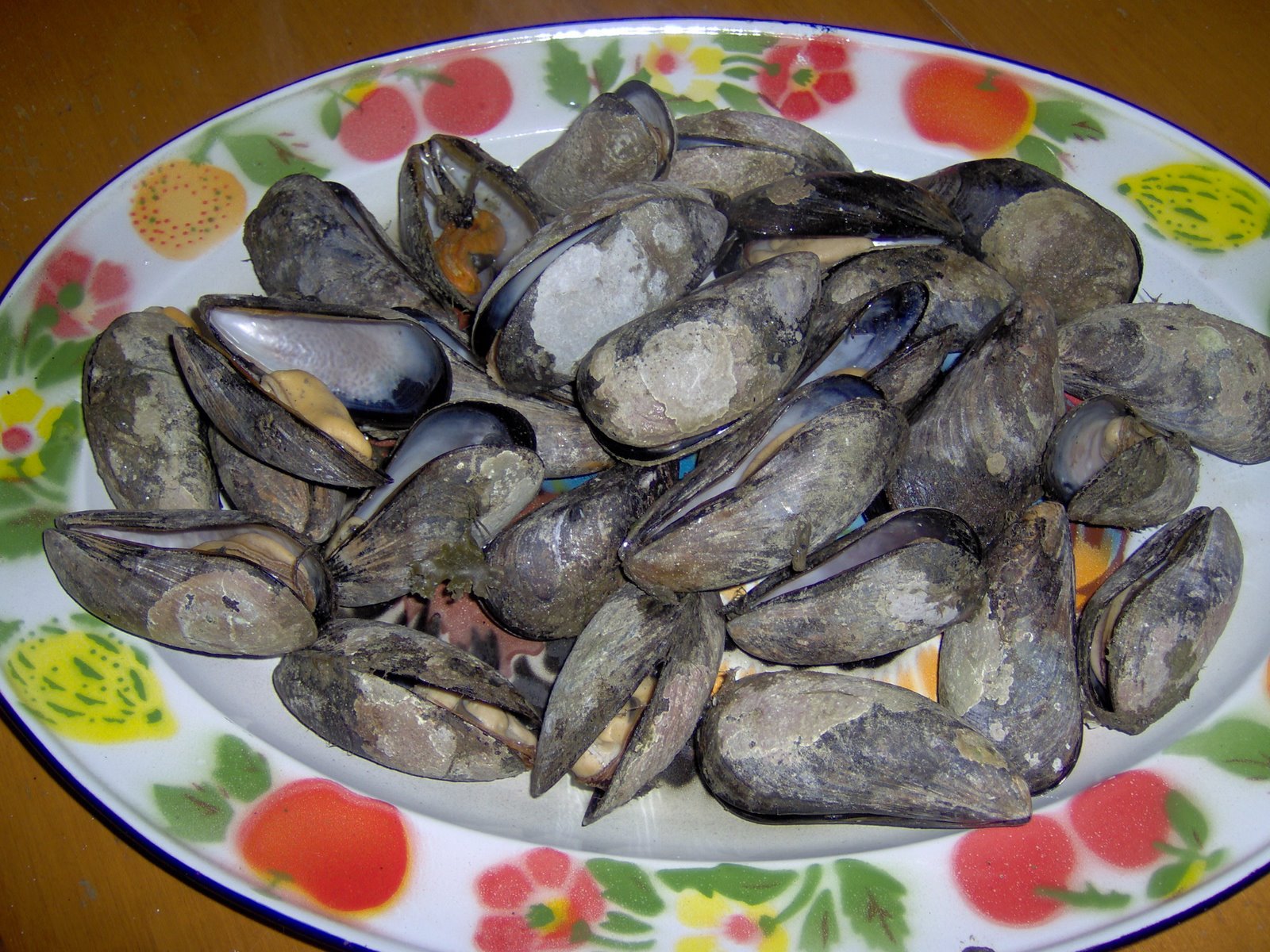 [mussels.JPG]
