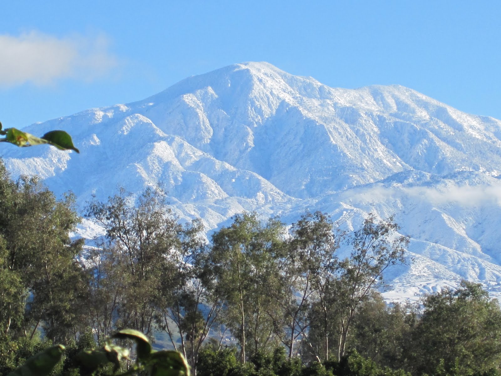 Cannundrums: Mount San Bernardino