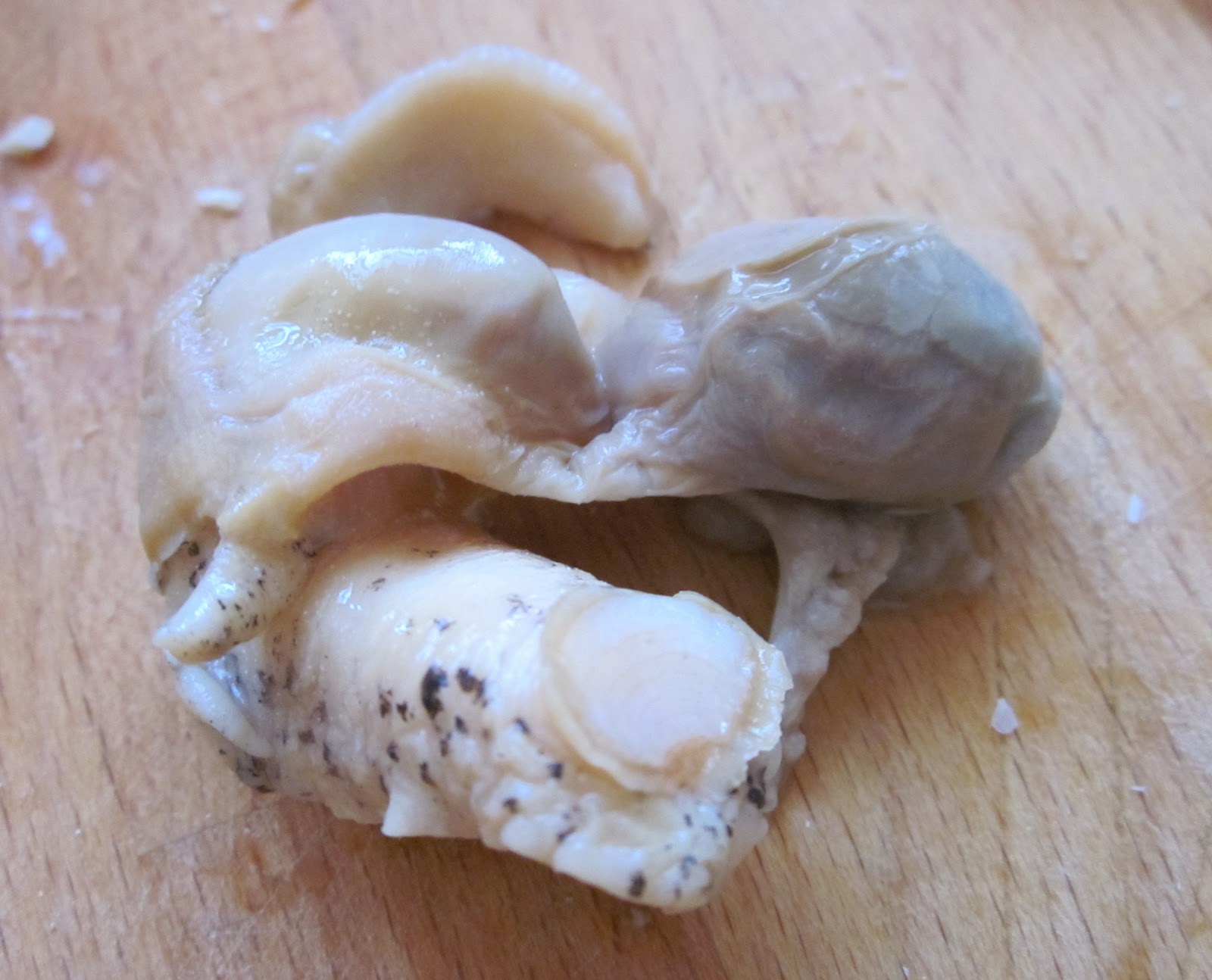 A Whelk