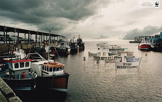 [WWF-46.jpg]