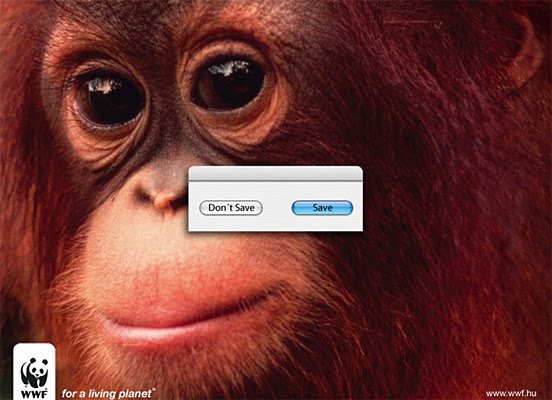 [WWF-15.jpg]