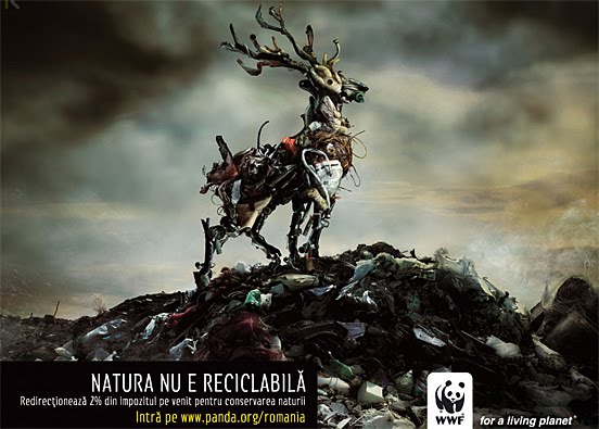 [WWF-18.jpg]