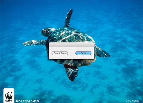 [WWF-16.jpg]