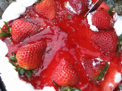 What have I been up to? - Scotland Bay Lime 12 IMG 6890