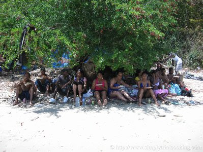 What have I been up to? - Scotland Bay Lime 7 IMG 6852