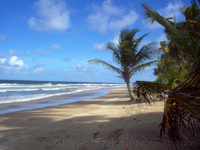Mayaro Beach Trinidad and Tobago