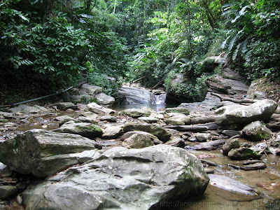 Morang River 19 IMG 1752