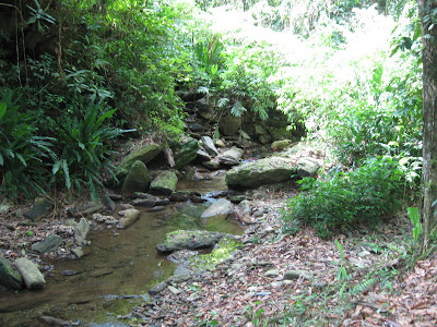 Morang River 15 IMG 1747