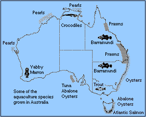 Locations in Australia Where Pearls are Prevalent