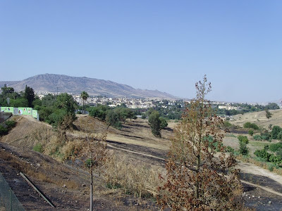 rencontres de fes 2012