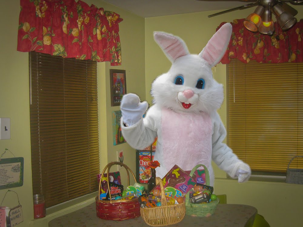 Easter Bunny Real