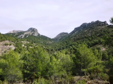 [P1040152.JPG]