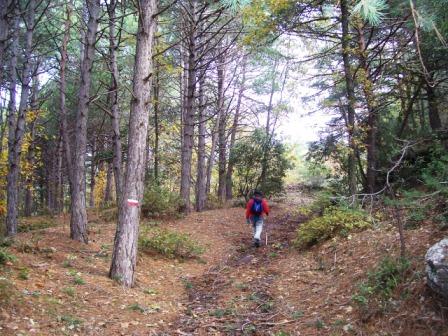 [Subida+al+Tossal+de+Baltasana+(Prades)+5-11-2008+002.jpg]