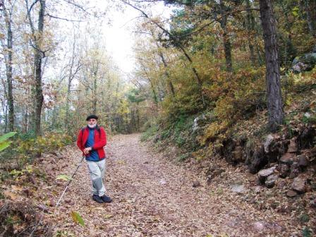 [Subida+al+Tossal+de+Baltasana+(Prades)+5-11-2008+008.jpg]