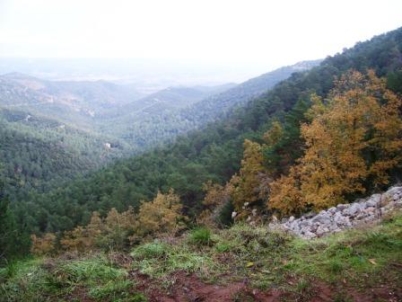 [Subida+al+Tossal+de+Baltasana+(Prades)+5-11-2008+017.jpg]