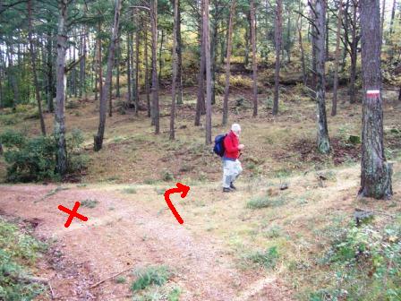 [Subida+al+Tossal+de+Baltasana+(Prades)+5-11-2008+036.jpg]