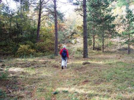 [Subida+al+Tossal+de+Baltasana+(Prades)+5-11-2008+037.jpg]