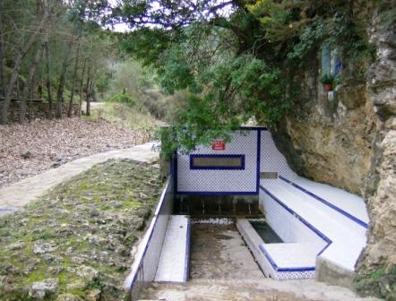 [pr-cv276+ayodar-villamalur-ayodar+29-11-2008+001+(1).jpg]