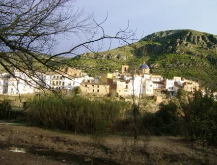 [pr-cv276+ayodar-villamalur-ayodar+29-11-2008+001+(2).jpg]