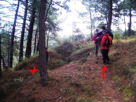 [MATET-+ALGIMIA+DE+ALMONACIR+24-1-2009+031.jpg]