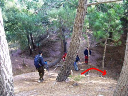 [MATET-+ALGIMIA+DE+ALMONACIR+24-1-2009+055.jpg]