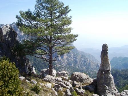 [caro-piedra+contadora+129.jpg]