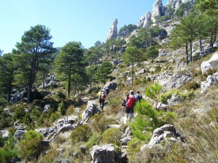 [caro-piedra+contadora+119.jpg]